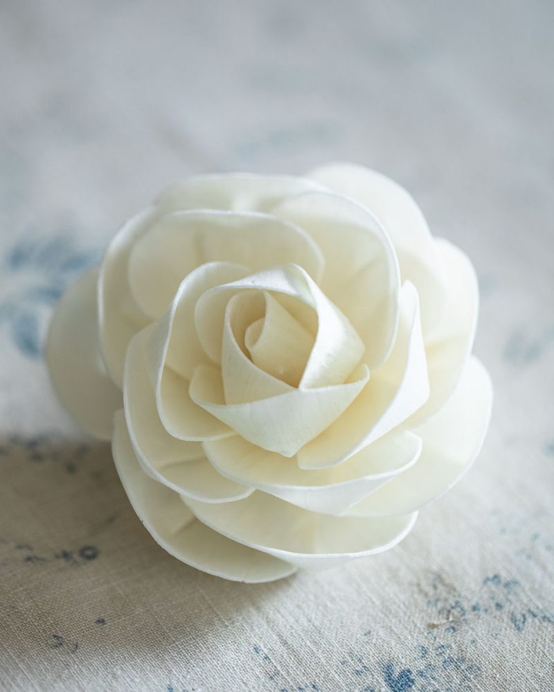 Camellia Diffuser Flower close-up