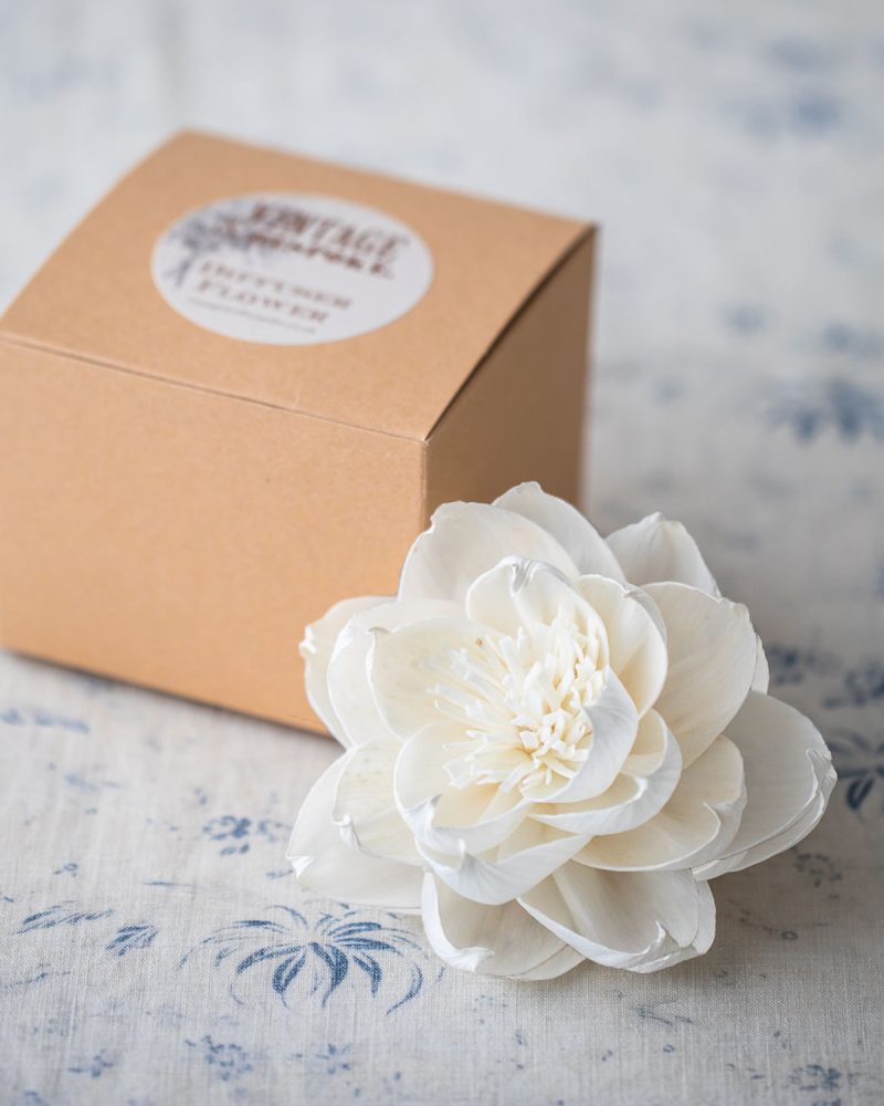 large cosmos diffuser flower with gift box