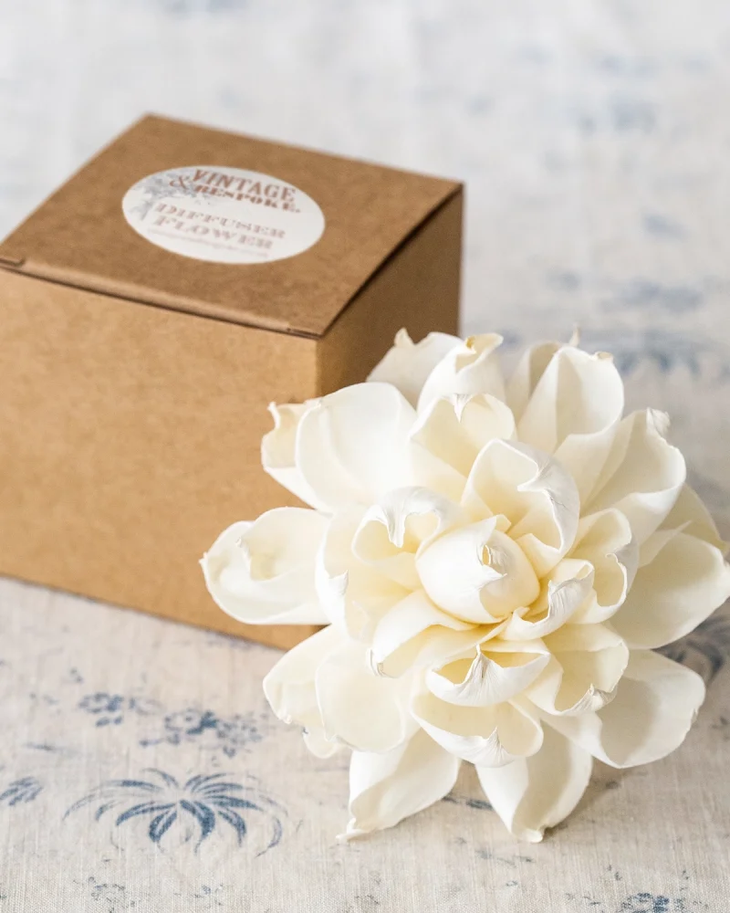 large Dahlia diffuser flower with gift box
