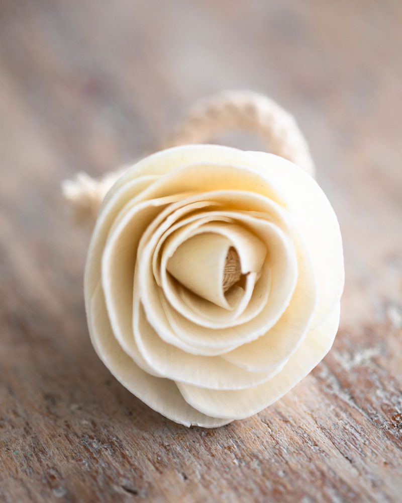 Tiny Rosebud Diffuser Flower close-up