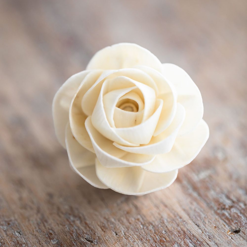 Tiny Camellia Diffuser Flower close-up