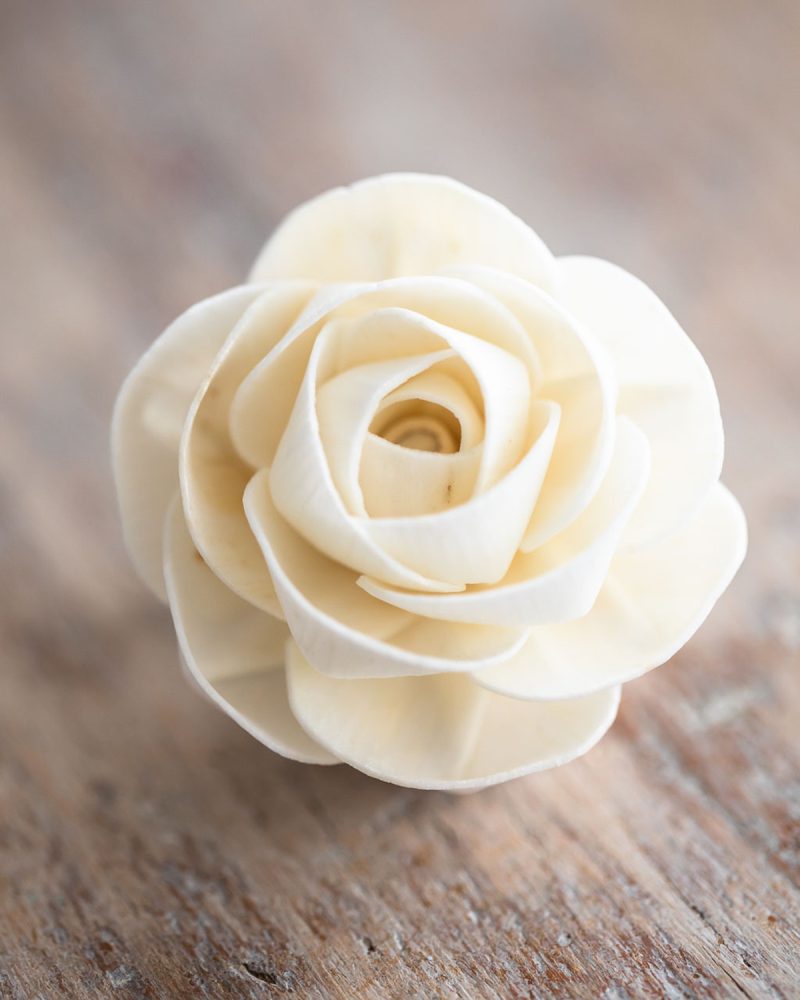 Tiny Camellia Diffuser Flower close-up