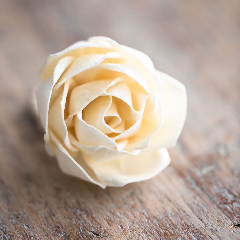 Little Rose diffuser flower close-up