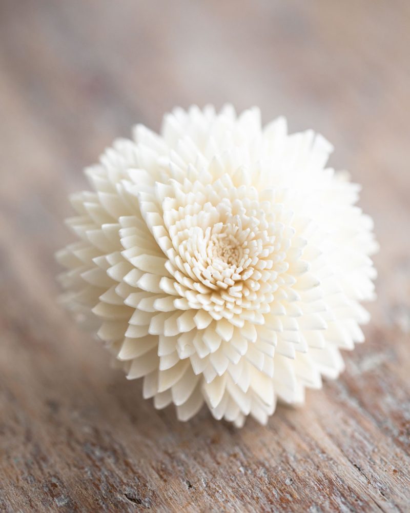 Tiny Zinnia Diffuser Flower