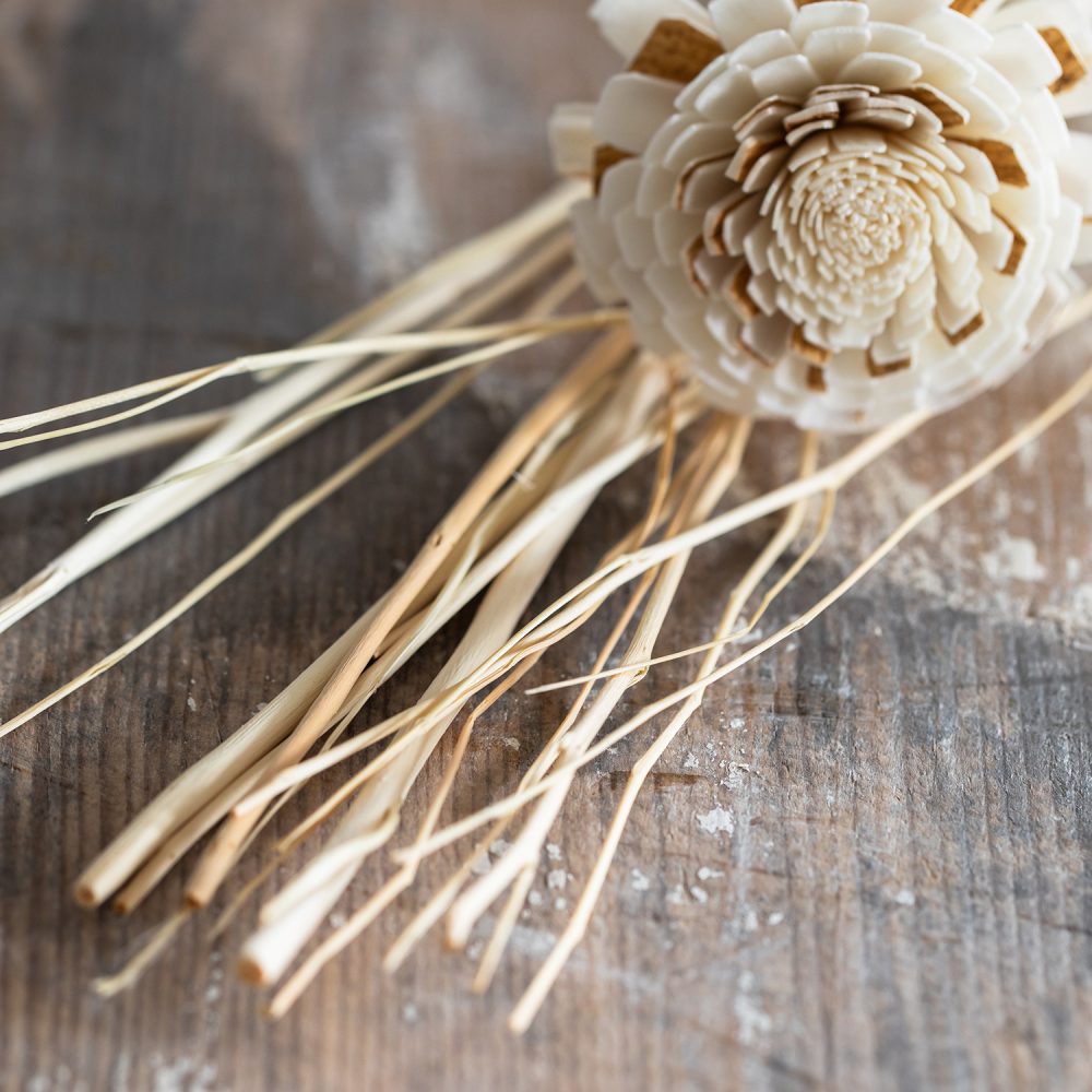 Natural Diffuser Sticks