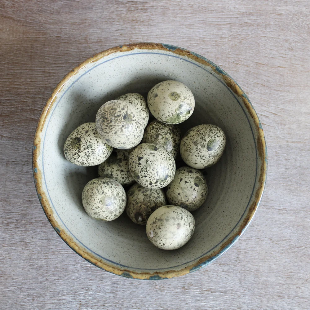 Speckle Painted Birds Eggs