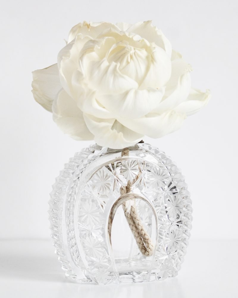 Stunning Horseshoe Scent Bottle