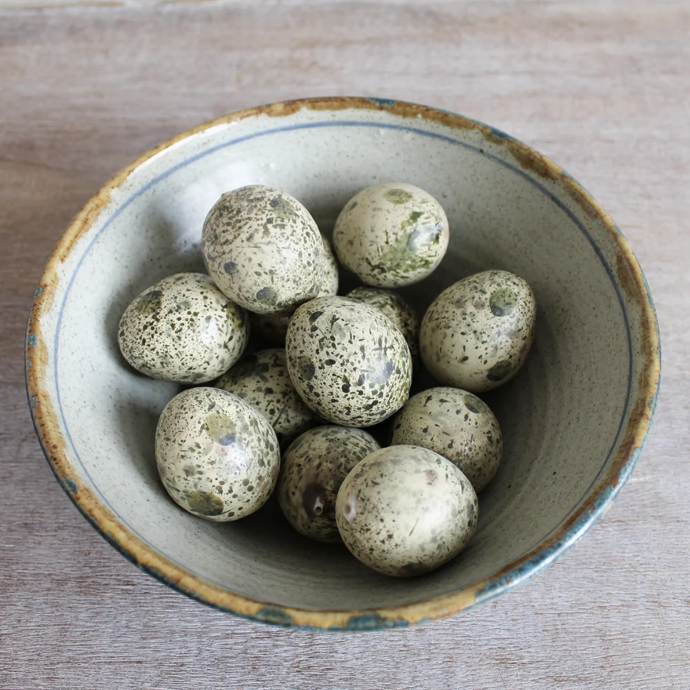 Hand Painted Birds Eggs
