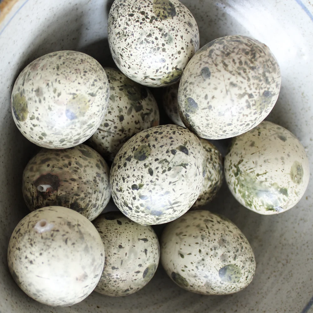 Speckle Painted Birds Eggs